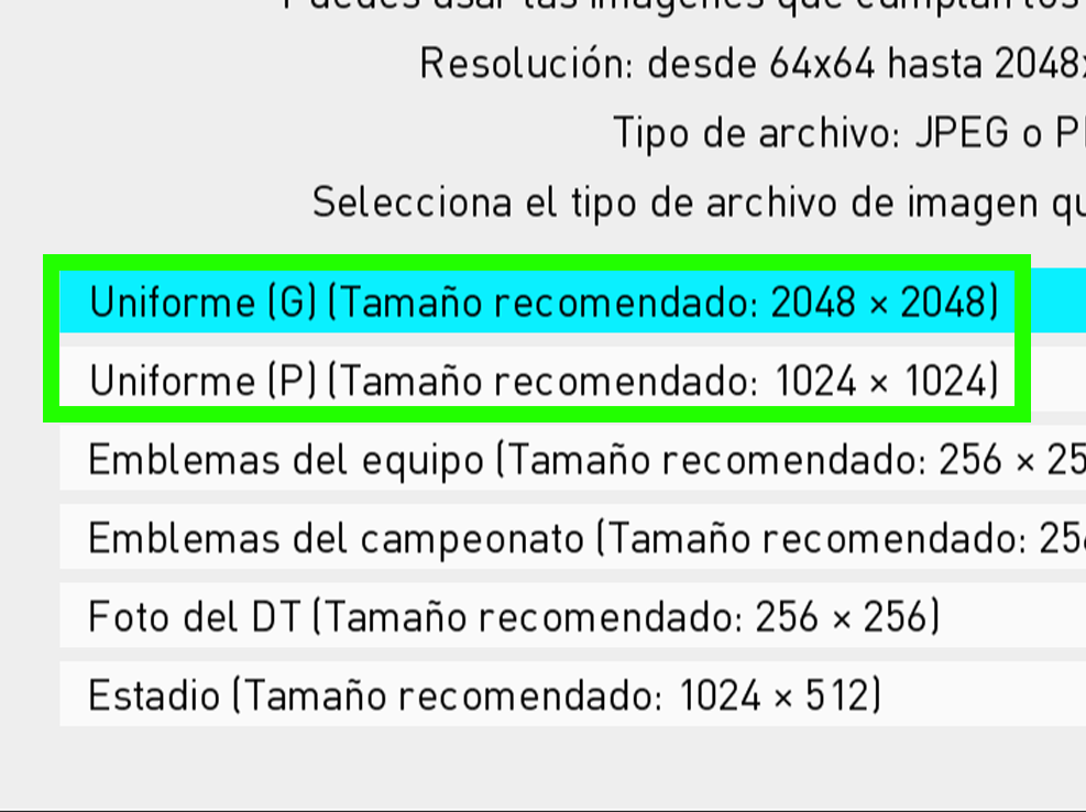 Captura del menú de importación de imágenes en distintas resoluciones.