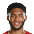 Joe Gomez