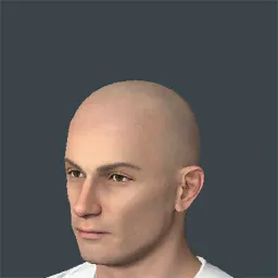 hair_variation