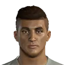 J. Araujo