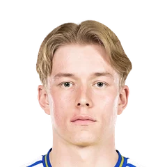Miniface de D. Svensson
