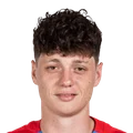 Miniface de L. Krejcí