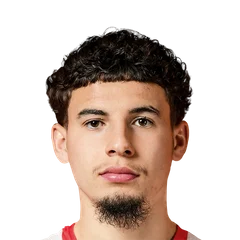 Miniface de I. Gharbi