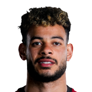 Miniface de Nabil Dunga